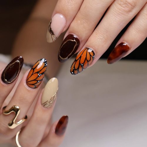 11-Autumn-Butterfly-Wings
